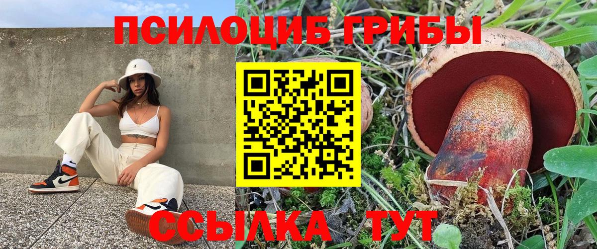 Галлюциногенные грибы прущие грибы Ишимбай